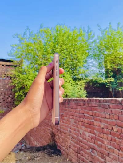 Apple iPhone XR