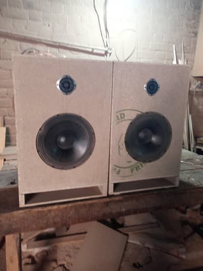 12 inch pair speakers