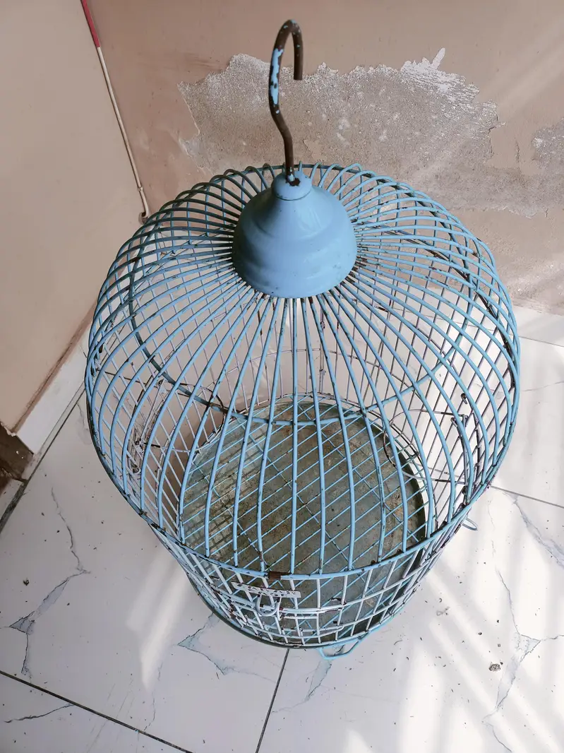 zarar birds cage . . best for pahari parrot . . . 03322431595 — photo 2