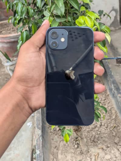 Apple iPhone 12 only sale