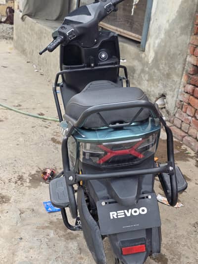 Ravo C32 young