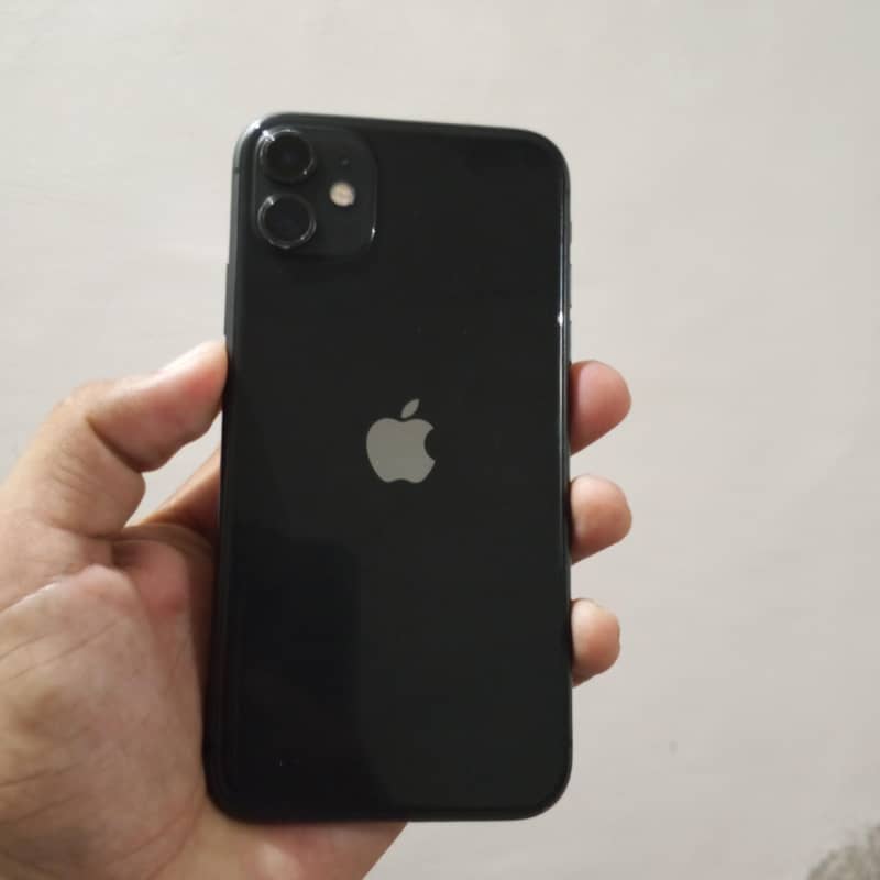 Apple iPhone 11 0