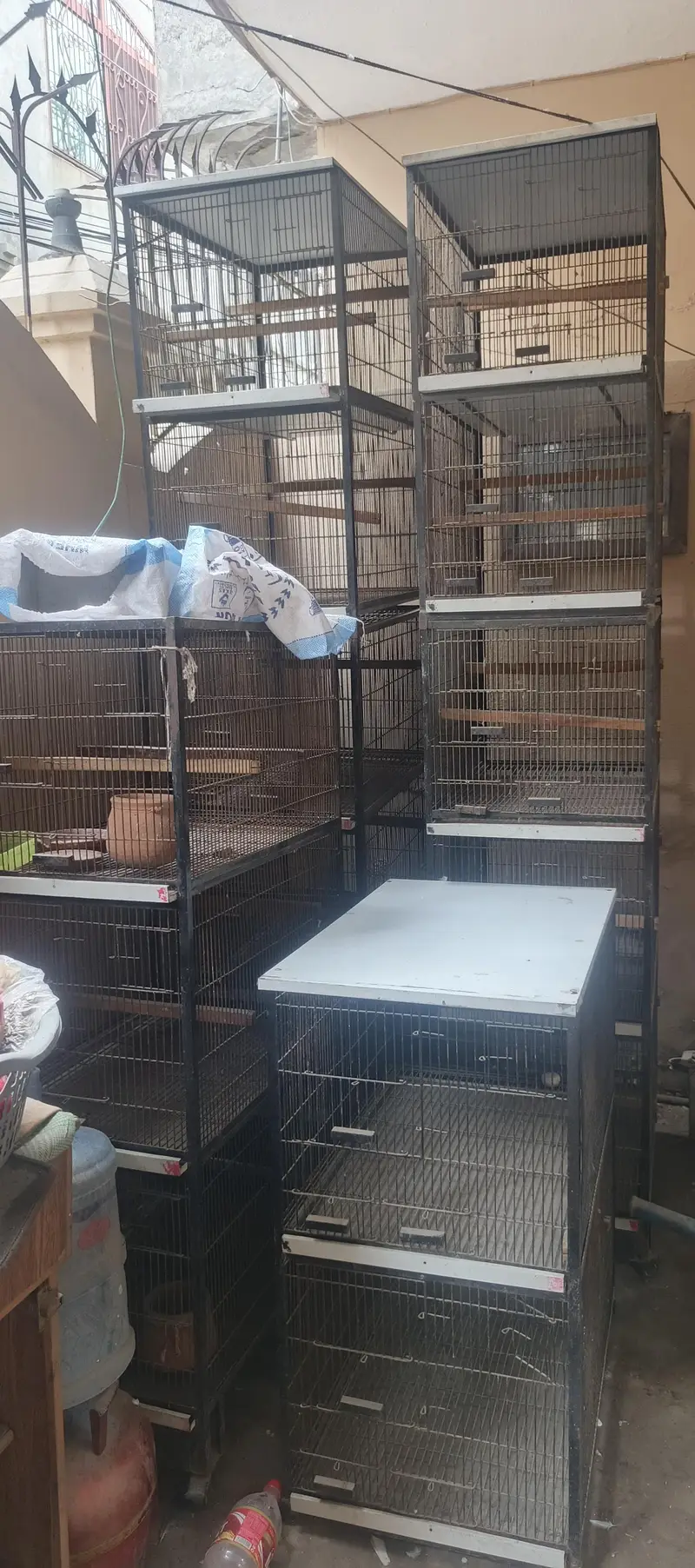 Bird cages for sale — photo 2