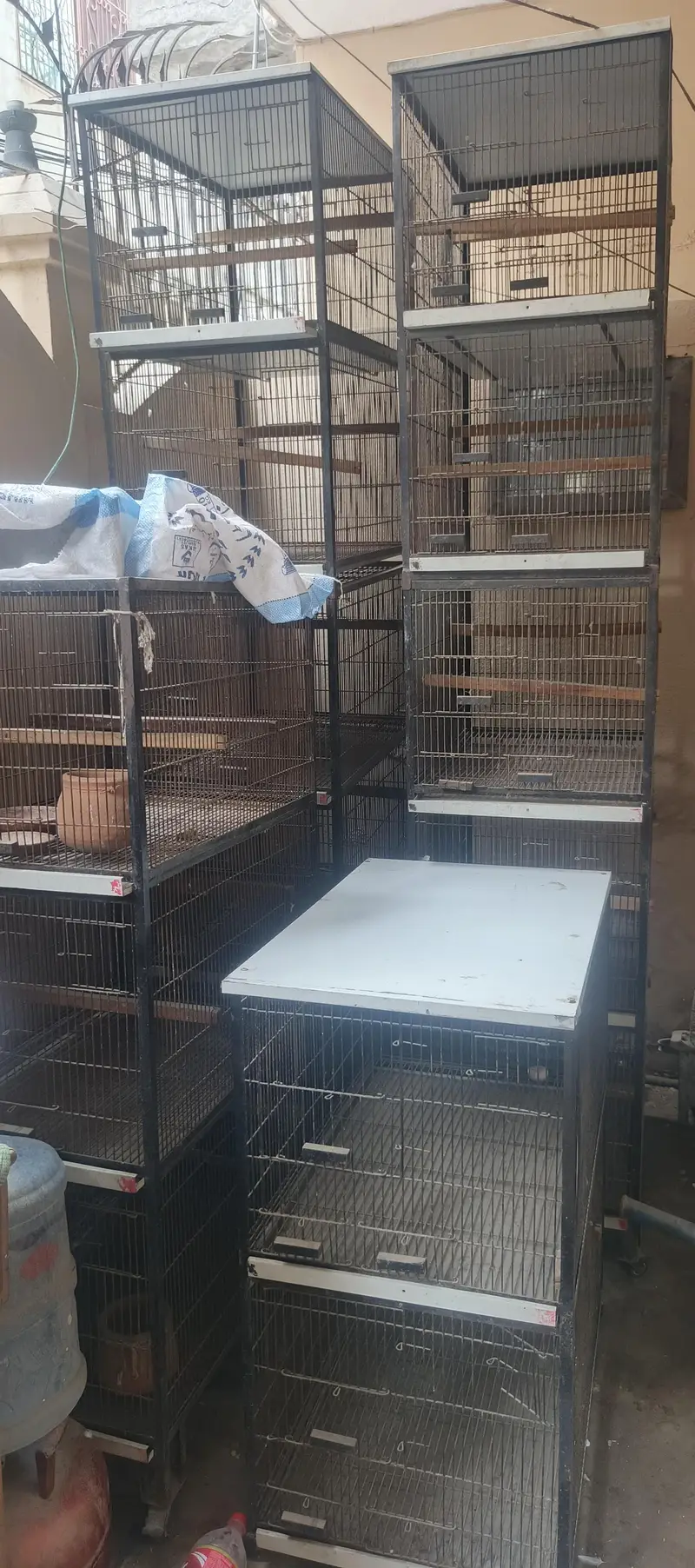 Bird cages for sale — photo 3
