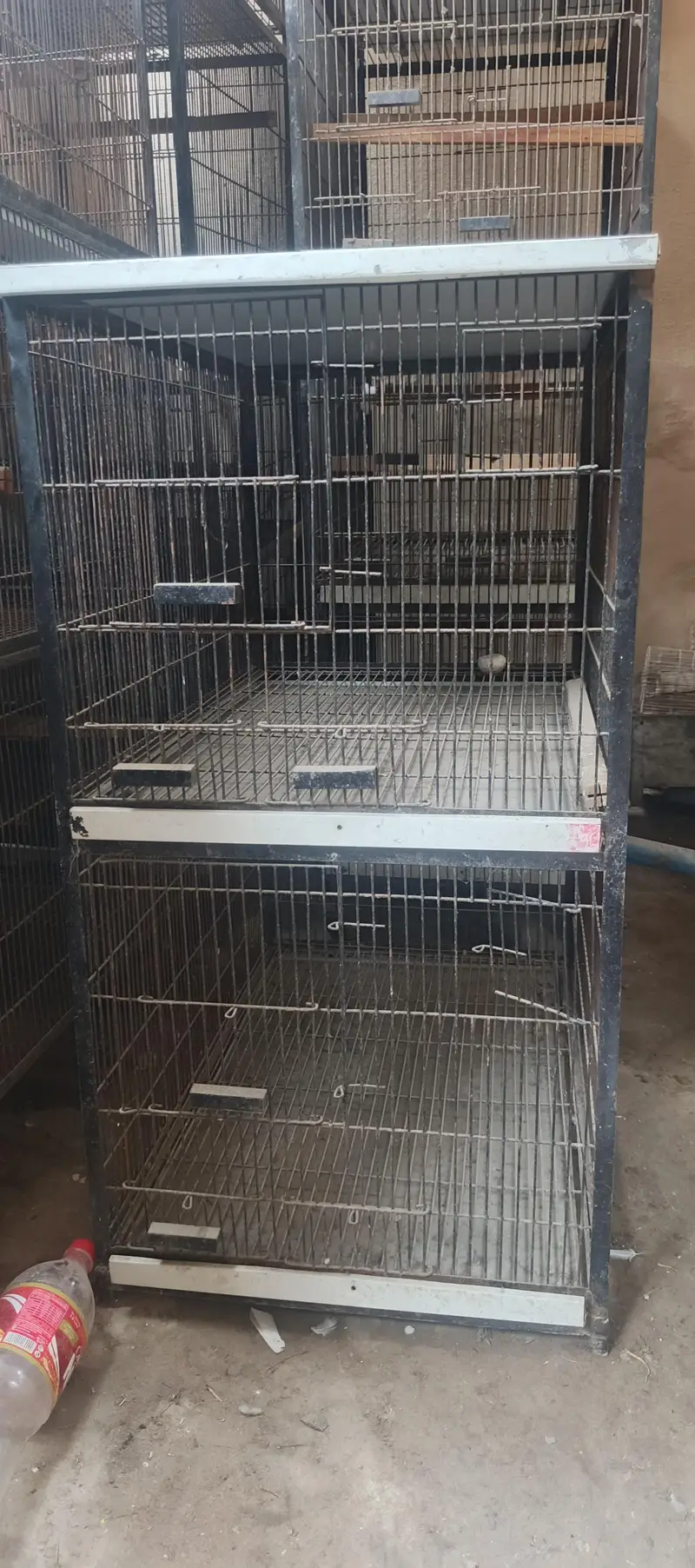 Bird cages for sale — photo 4