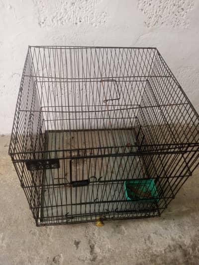 Bird cage