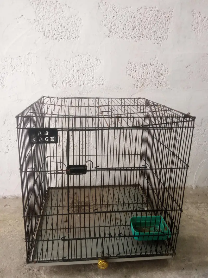 Bird cage — photo 2