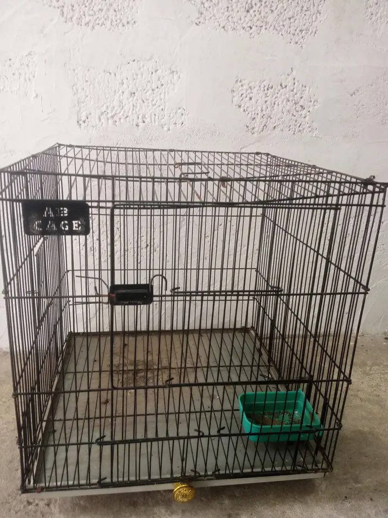 Bird cage — photo 3