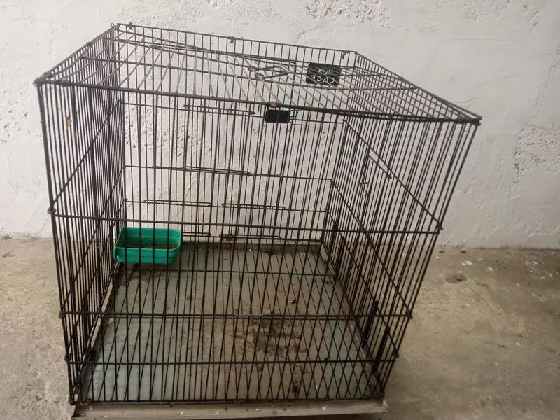Bird cage — photo 5
