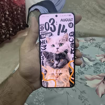 Xiaomi 15.