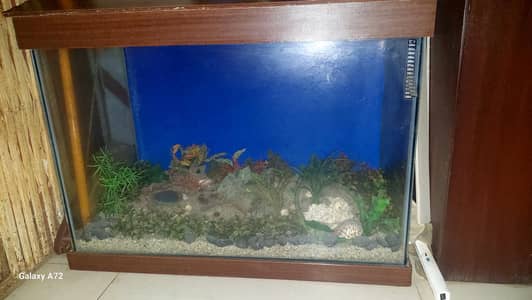 4x3 Aquarium for sale