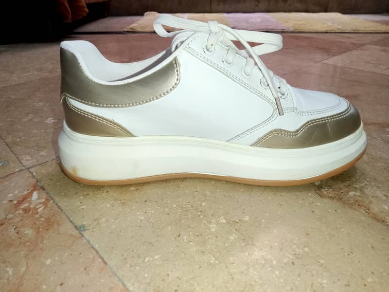 Stylo Active 4