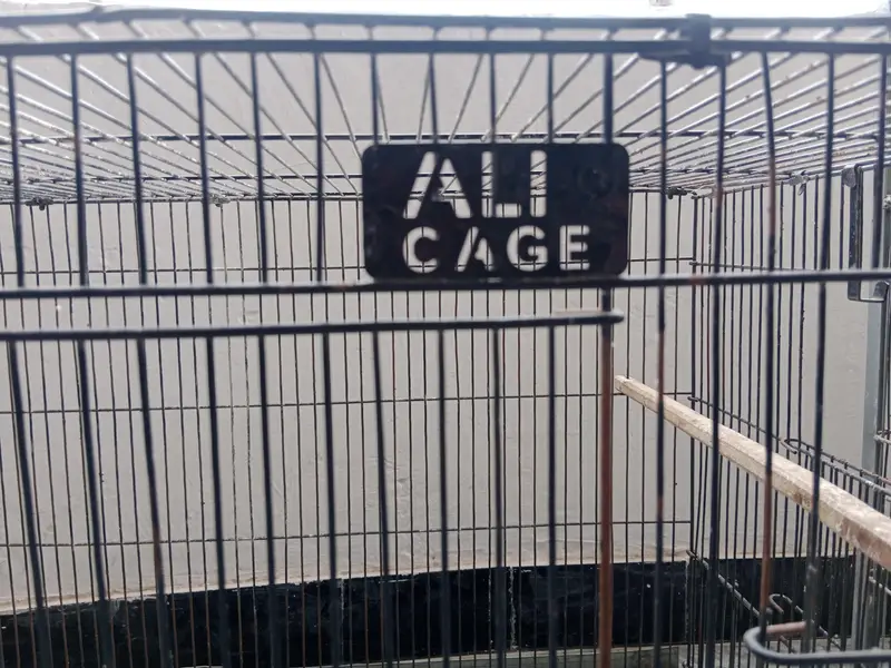 parrot  cages — photo 2