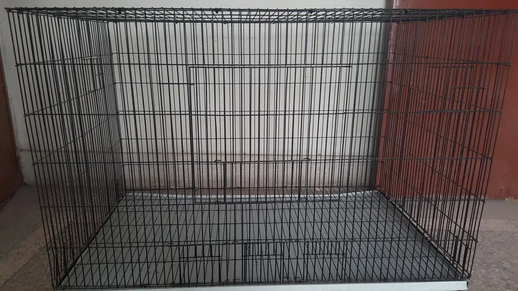 Big Size Brand New Cage — photo 2