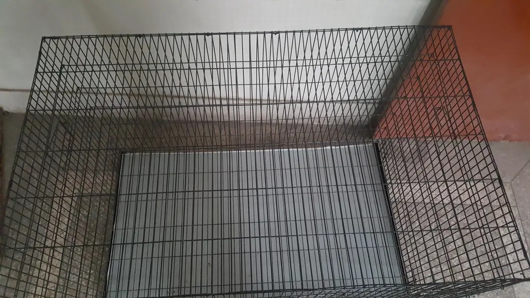 Big Size Brand New Cage — photo 3
