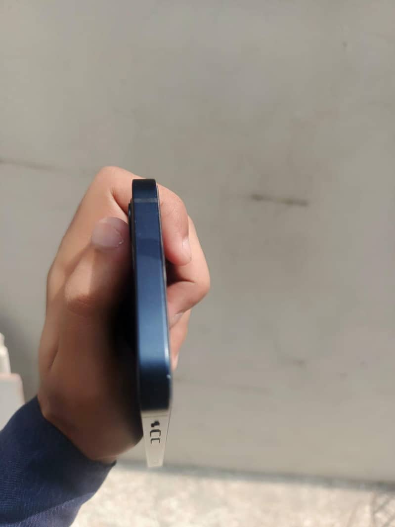 Apple iPhone 12 1