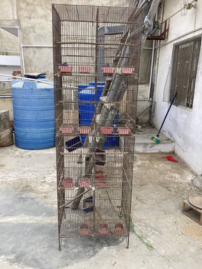 Cage for sale