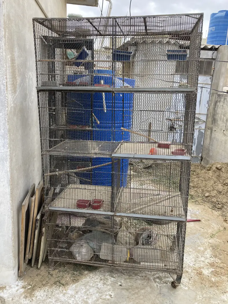 Cage for sale — photo 2