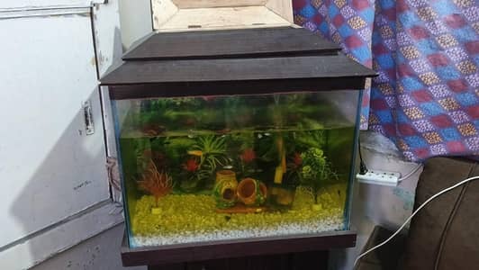 Aquarium Tank
