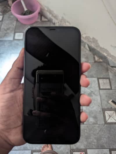 Apple iPhone 12 Pro Max