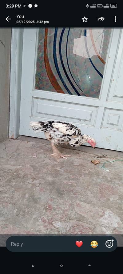 for sale