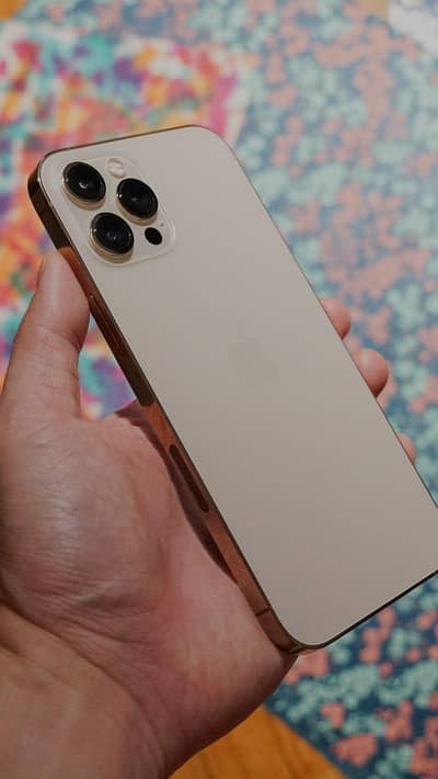 Apple iPhone 12 Pro Max