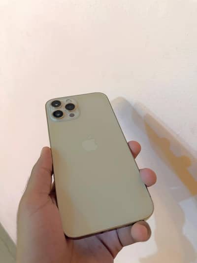 Apple iPhone 12 Pro Max