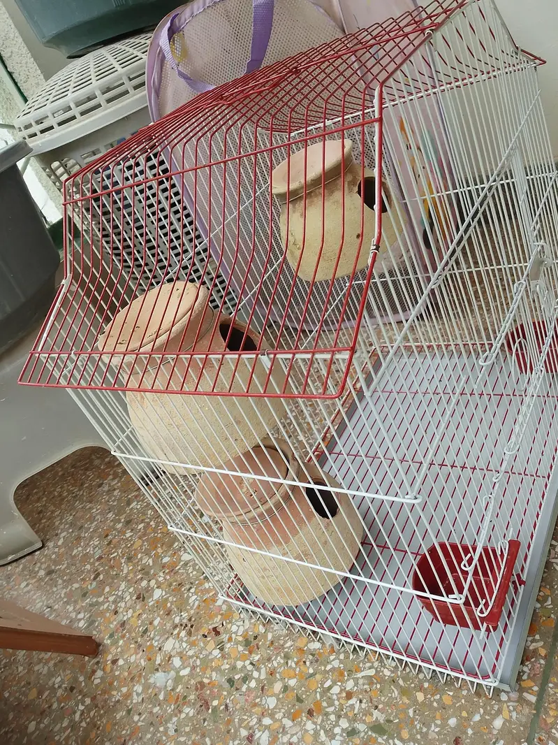 brand new cage — photo 2