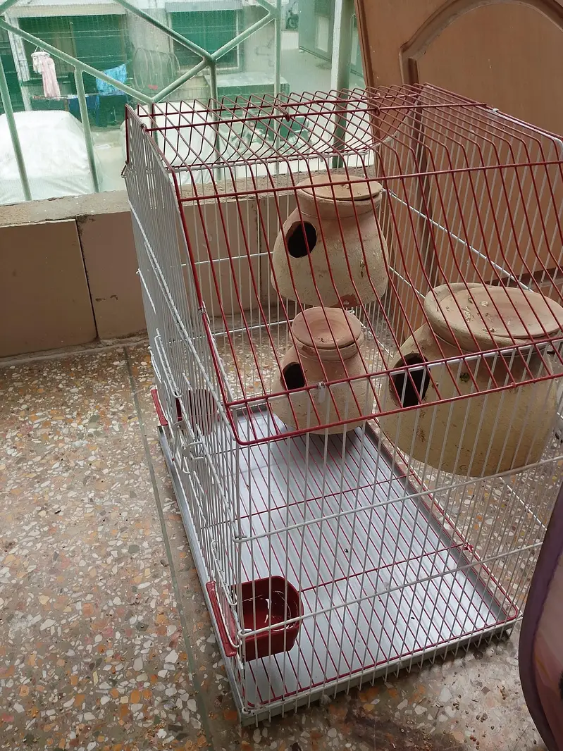 brand new cage — photo 3