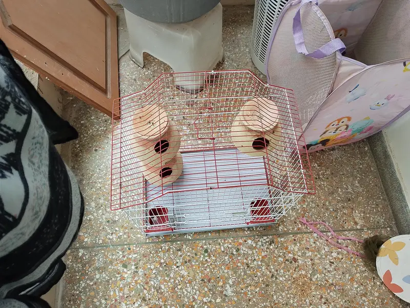 brand new cage — photo 4