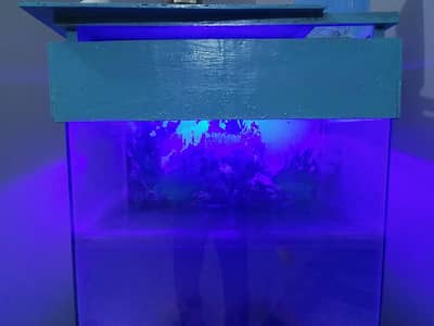 aquarium for sell