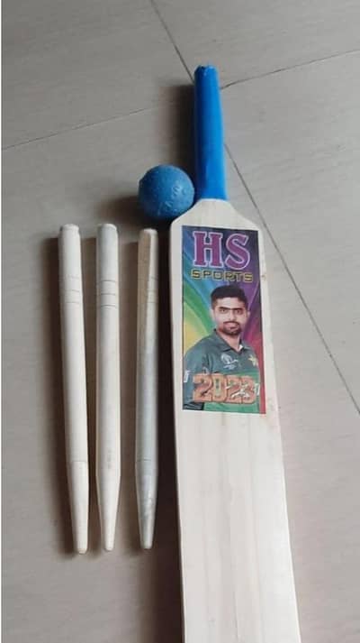 cricket bat with free wicket and ball