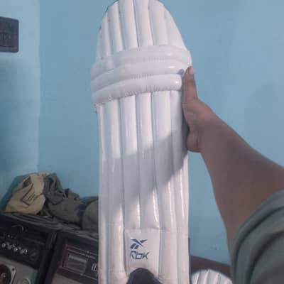 cricket kit for 12 to 18 year old kids only 1 month use