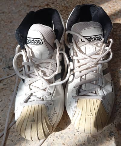 Adiddas shoes