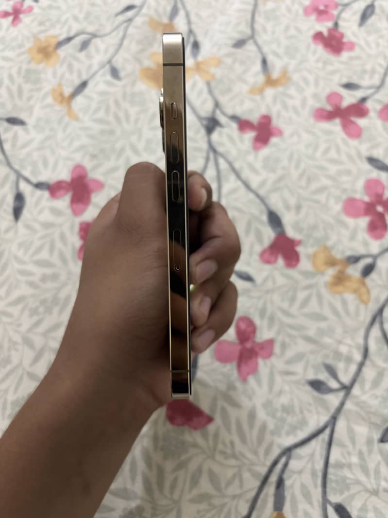 Apple iPhone 13 Pro 1