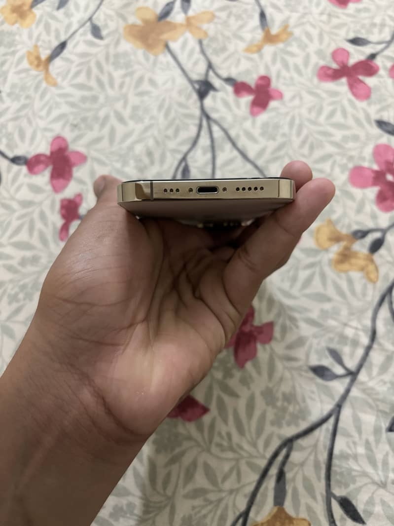 Apple iPhone 13 Pro 2
