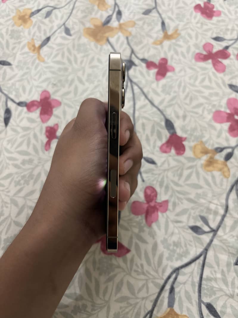 Apple iPhone 13 Pro 3