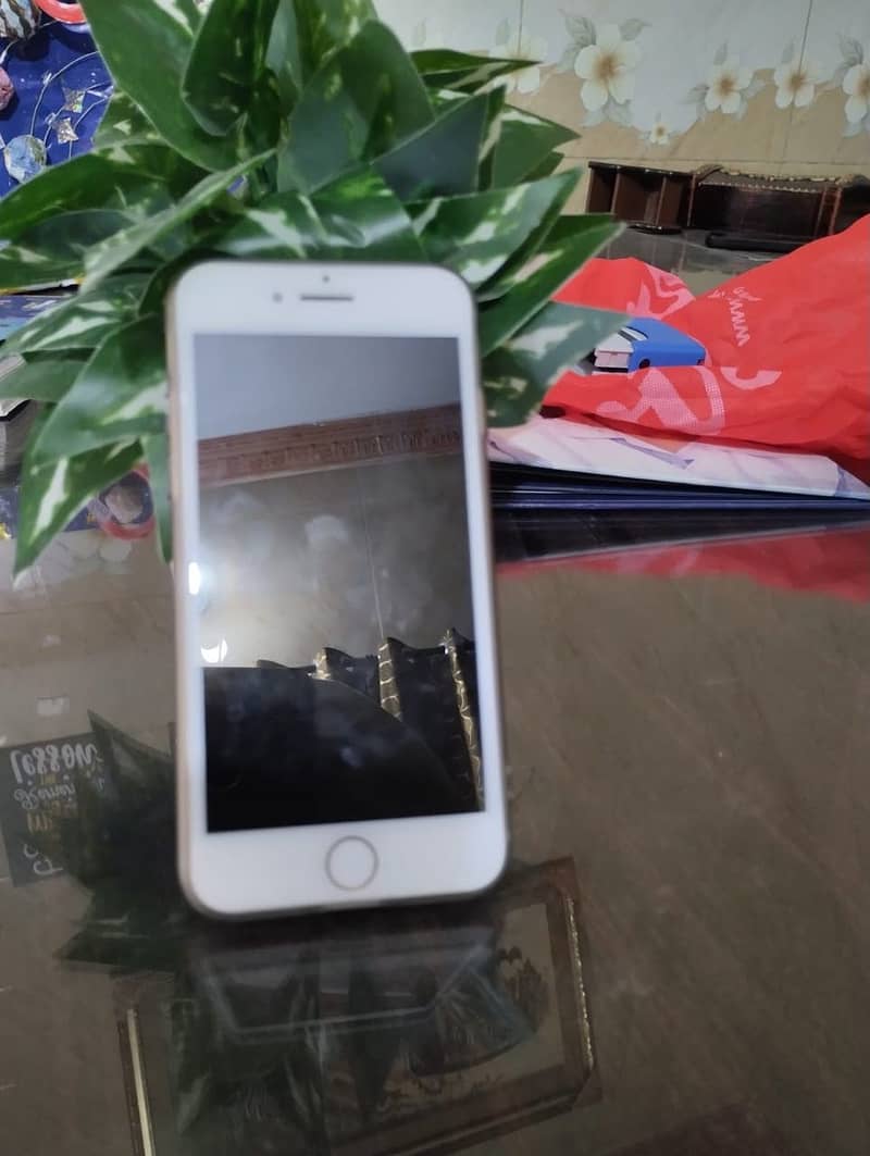 iPhone 7plus 1