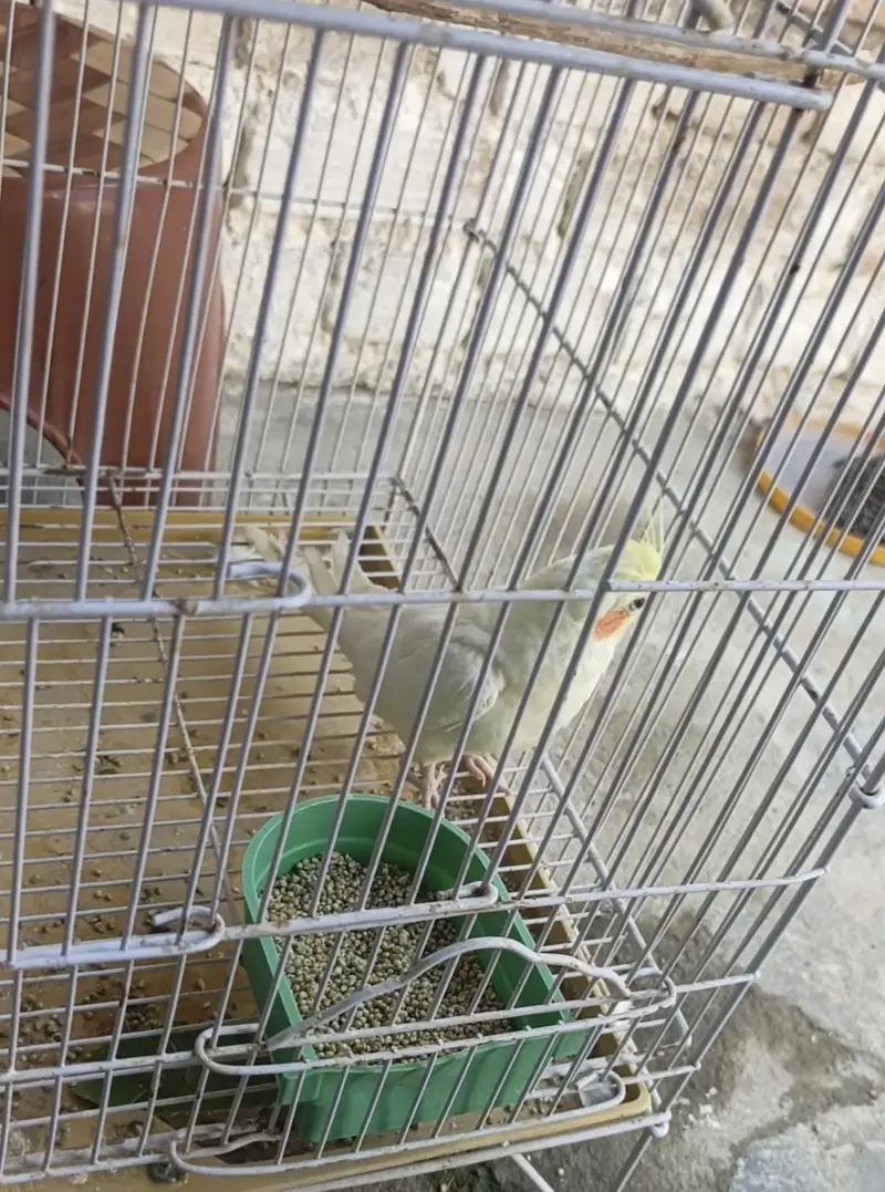 Healthy and active female — photo 2