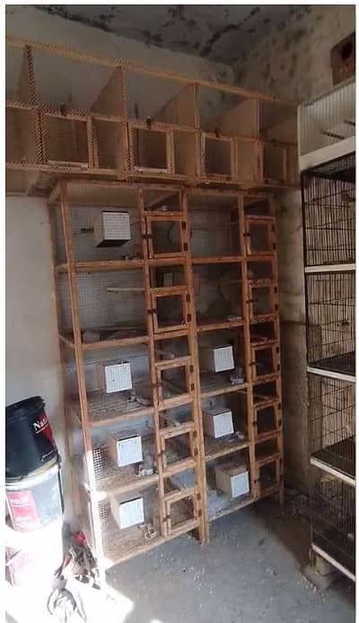 Cages for Sale in Cheap Prices