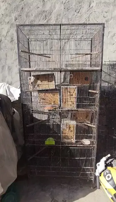 Cages for Sale in Cheap Prices — photo 2