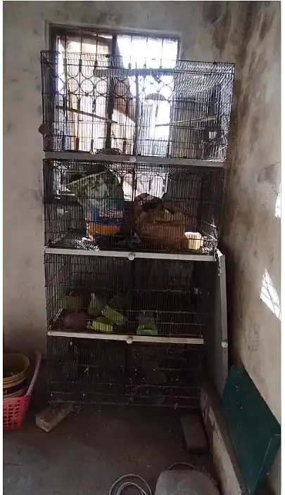 Cages for Sale in Cheap Prices — photo 3