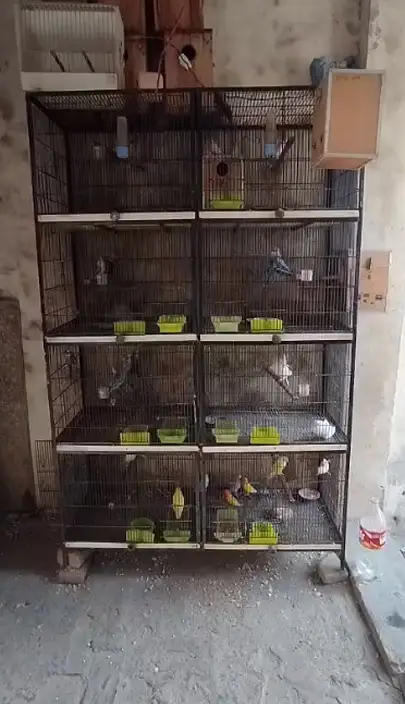 Cages for Sale in Cheap Prices — photo 4