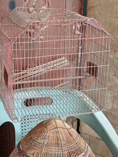 Birds cage/ pet enclosure/birds house/ Dove cage/ pigeon cage/animals