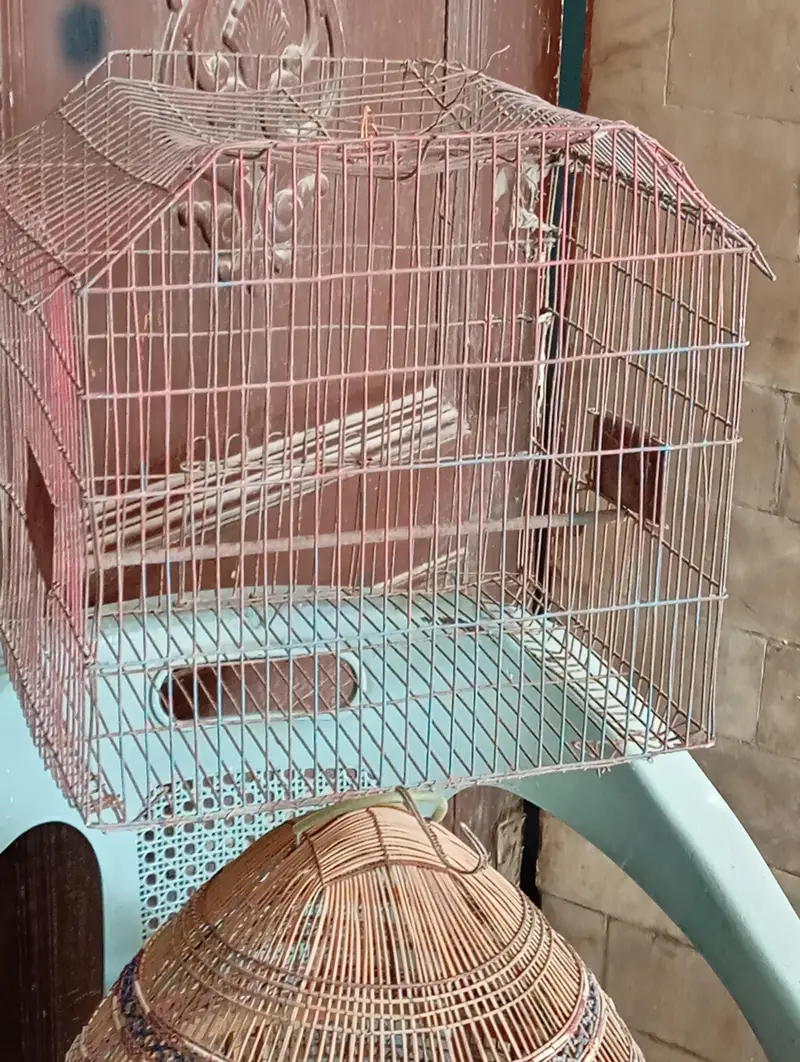 Birds cage/ pet enclosure/birds house/ Dove cage/ pigeon cage/animals — photo 3