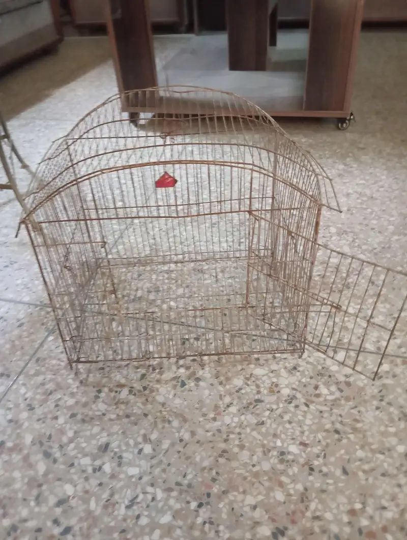 Birds cage/ pet enclosure/birds house/ Dove cage/ pigeon cage/animals — photo 4