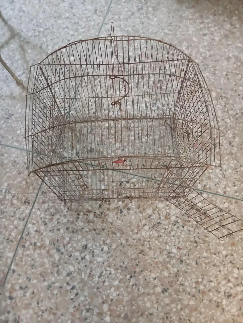 Birds cage/ pet enclosure/birds house/ Dove cage/ pigeon cage/animals — photo 5