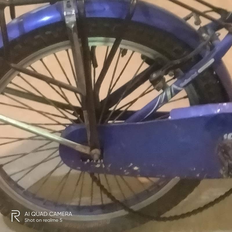 big cycle 2