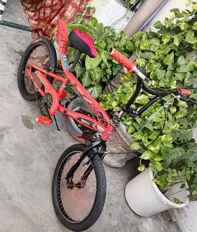 Japanese imported Cycle For Kids 20  inches with reverse brake system