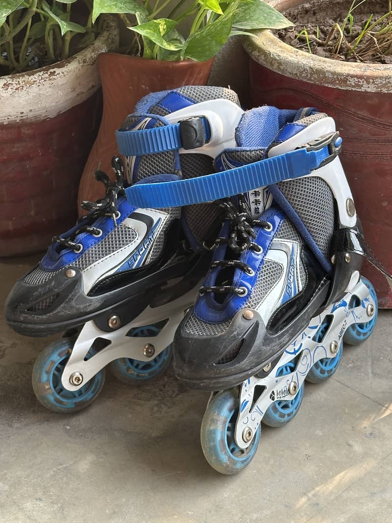 Adjustable Skating Shoes 1